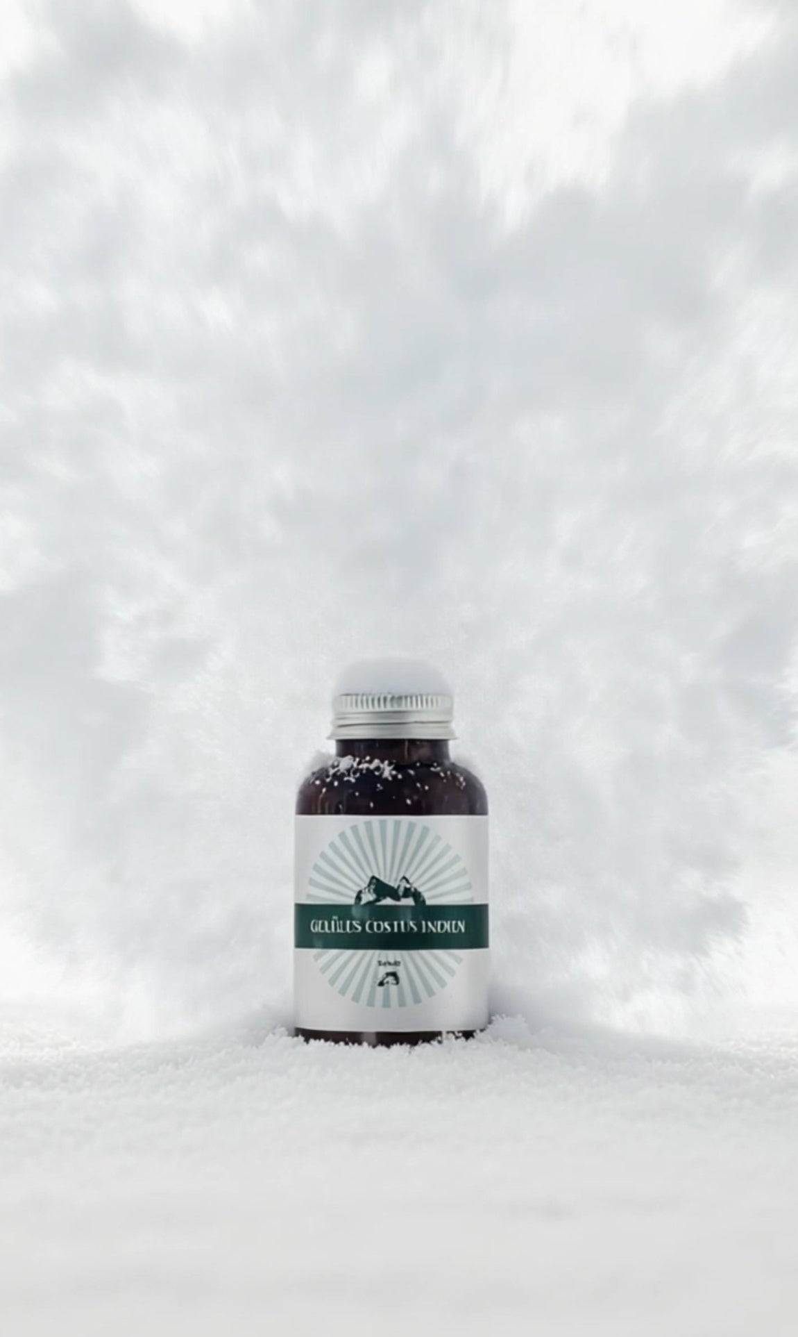 Gélules de Costus Indien – Bien-être & Vitalité