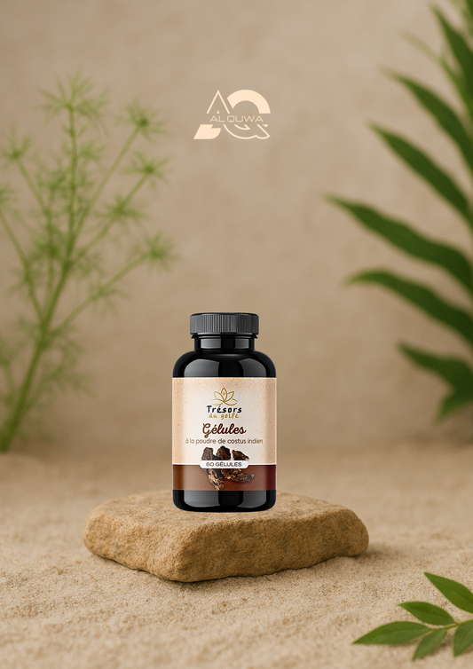 Gélules de Costus Indien – Bien-être & Vitalité