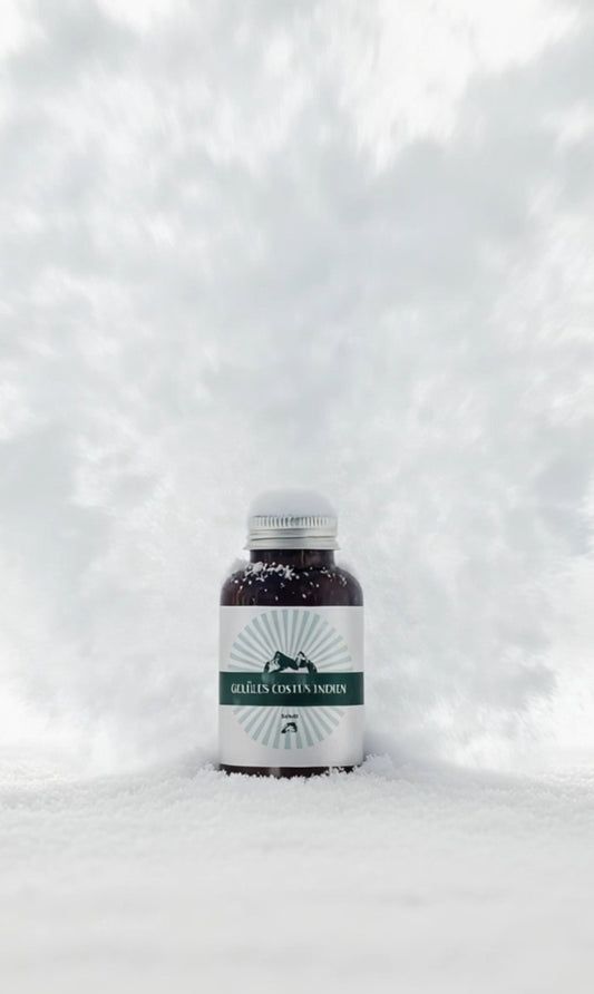 Gélules de Costus Indien – Bien-être & Vitalité