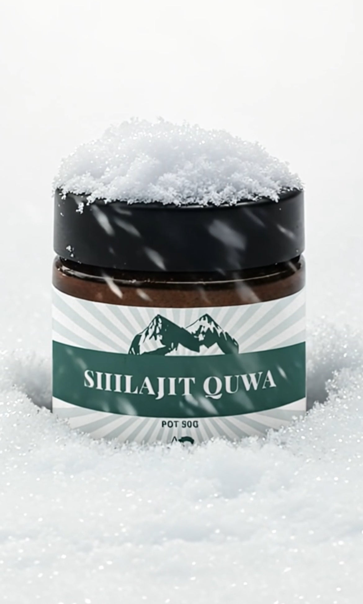 SHILAJIT pur de l'Himalaya - Résine naturelle 100% pure ( 50 g )