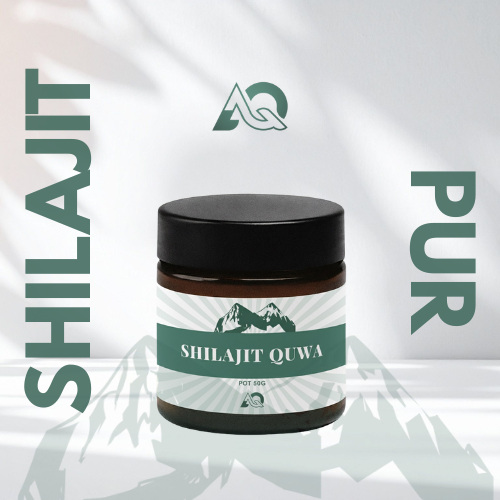 SHILAJIT pur de l'Himalaya - Résine naturelle 100% pure ( 50 g )