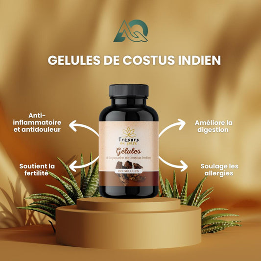 Gélules de Costus Indien – Bien-être & Vitalité