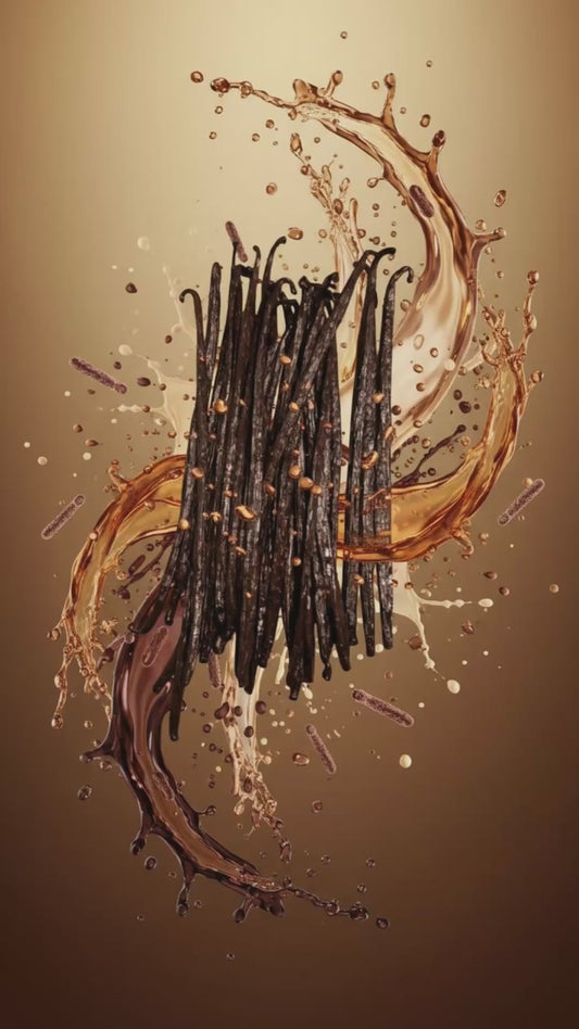 Découvrez la Vanille d’Exception de Madagascar